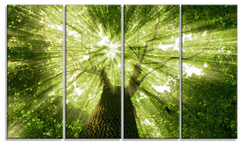 Sunlight Peeking through Green Tree, Landscape Canvas Print, 48"x28", 4 Panels
