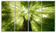 Sunlight Peeking through Green Tree, Landscape Canvas Print, 48"x28", 4 Panels