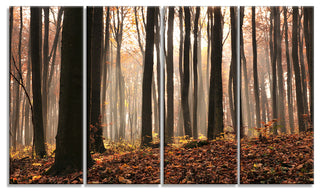 Dark Thick Woods in Fall Forest, Modern Forest Canvas Art, 48"x28", 4 Panels