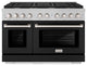ZLINE 48" Gas Range, DuraSnow Steel With Black Matte SGRS-BLM-48