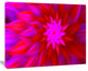 Dance of Bright Spiral Pink Flower, Floral Canvas Art Print, 20"x12"