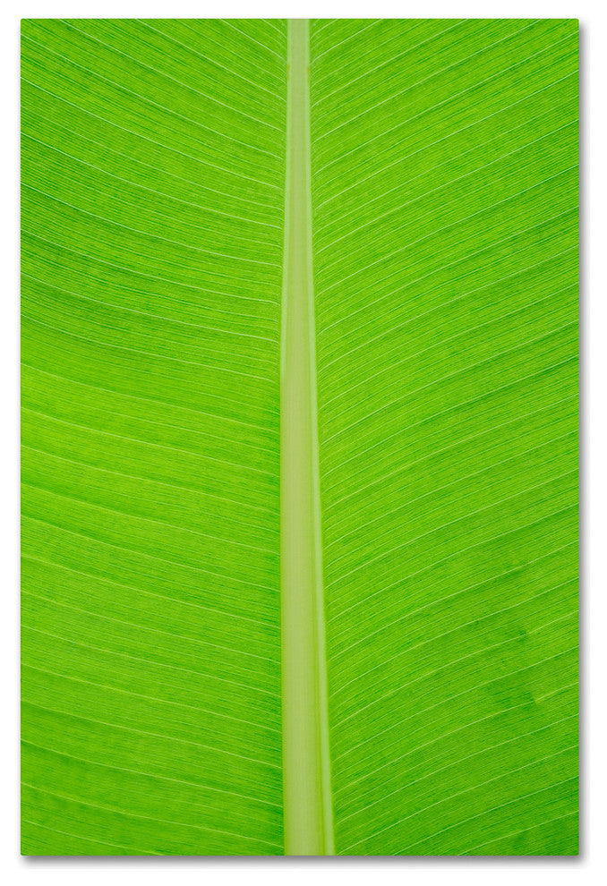 Cora Niele ''Leaf Texture I'' Canvas Art