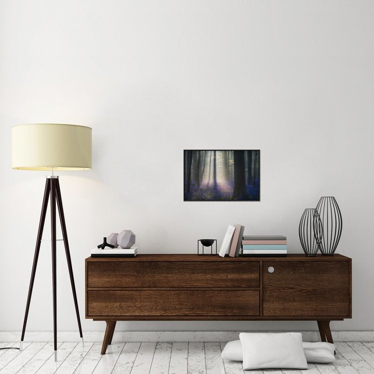 Velvet Light, 24"x16"