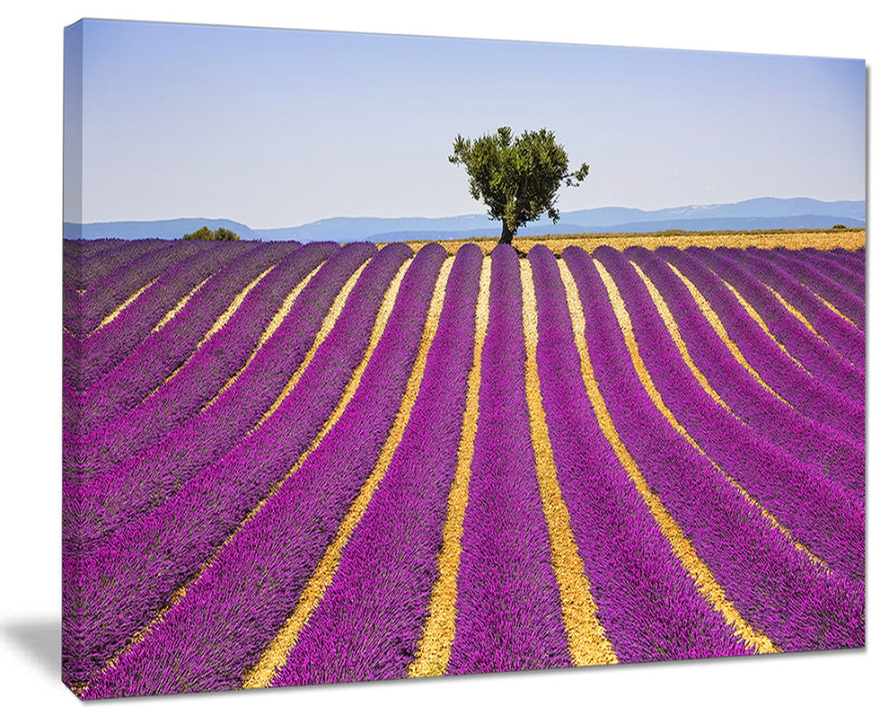 "Lavender And Lonely Tree Uphill" Landscape Wall Art Print, 40"x30"
