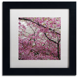 'Cherry Blossoms 2014-3' Matted Framed Canvas Art by CATeyes