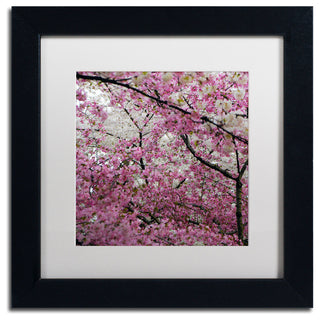 'Cherry Blossoms 2014-3' Matted Framed Canvas Art by CATeyes