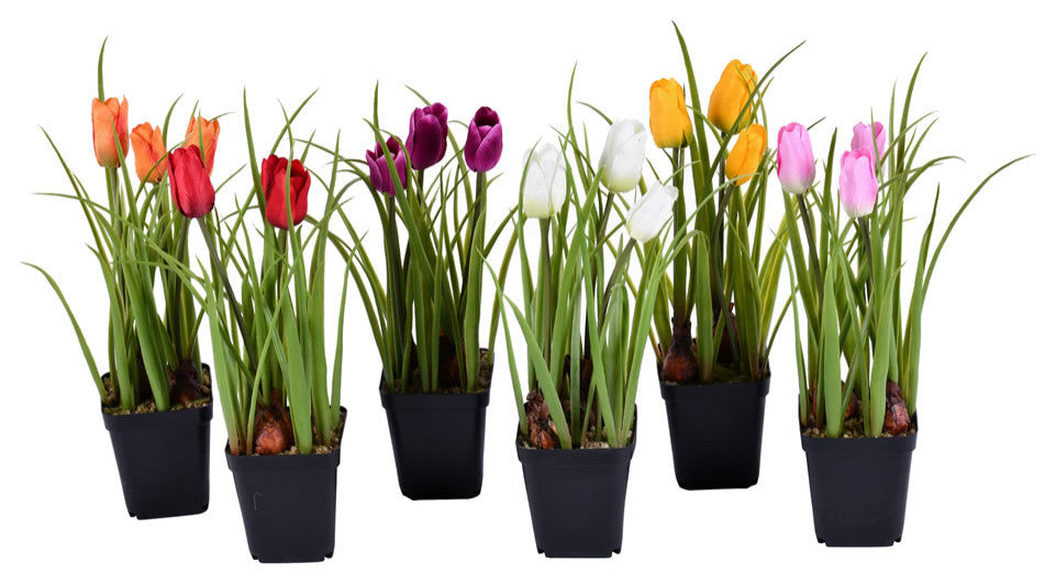 Vickerman FE190601 10" Artificial Tulips in Black Plastic Planters Pots