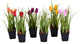 Vickerman FE190601 10" Artificial Tulips in Black Plastic Planters Pots