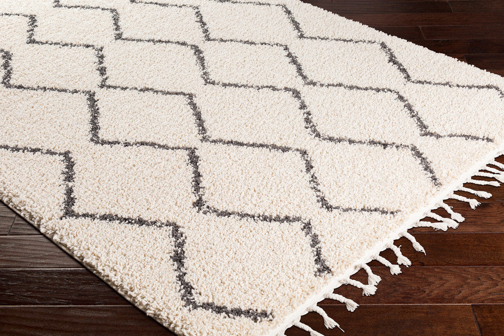 Berber Shag Bohemian Global Charcoal, Beige Area Rug, 2'x3'