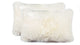 100% Sheepskin New Zealand Pillows, Set of 2, Natural, 12"x20"