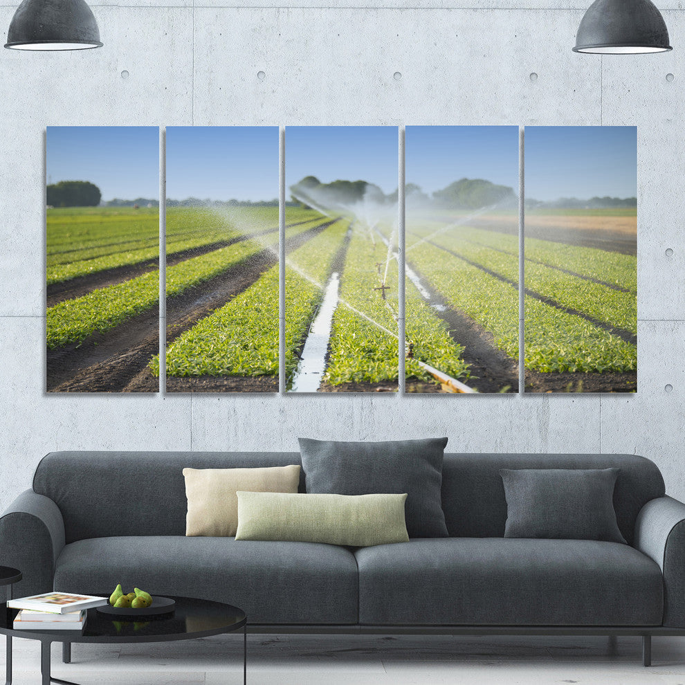 Beautiful View of Crops Watering, Landscape Canvas Art Print, 60"x28", 5 Panels