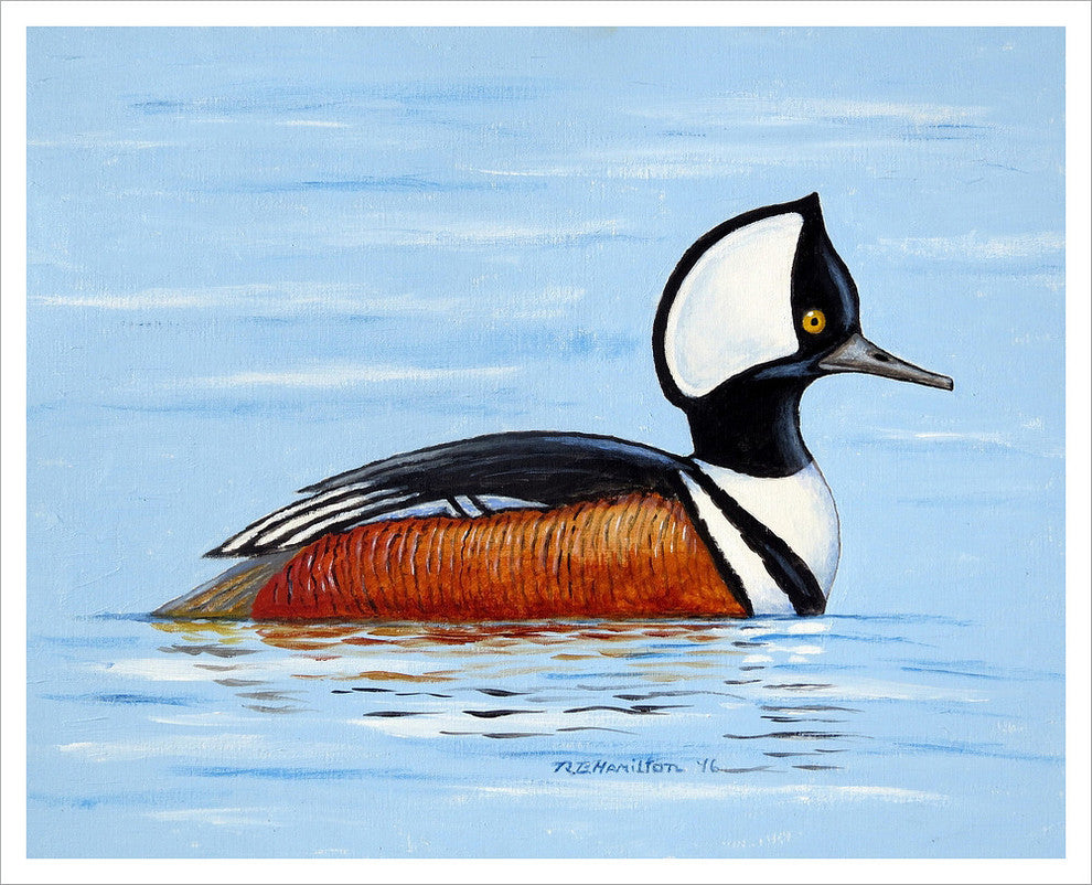 Betsy Drake Hooded Merganser Outdoor Wall Hanging 24x30