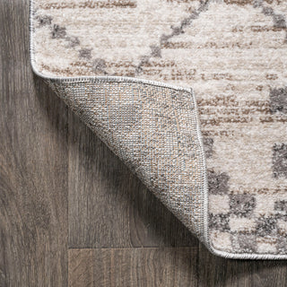 Asilah Moroccan Modern Diamond Runner Rug, Light Gray, 4 X 6