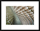"Serpentine" Framed Digital Print by Linda Wride, 26"x20"