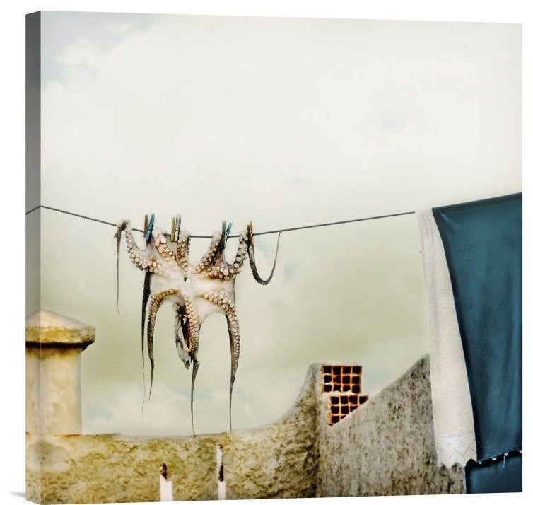 "Tote Hose" Stretched Canvas Giclee by Ambra, 18"x18"