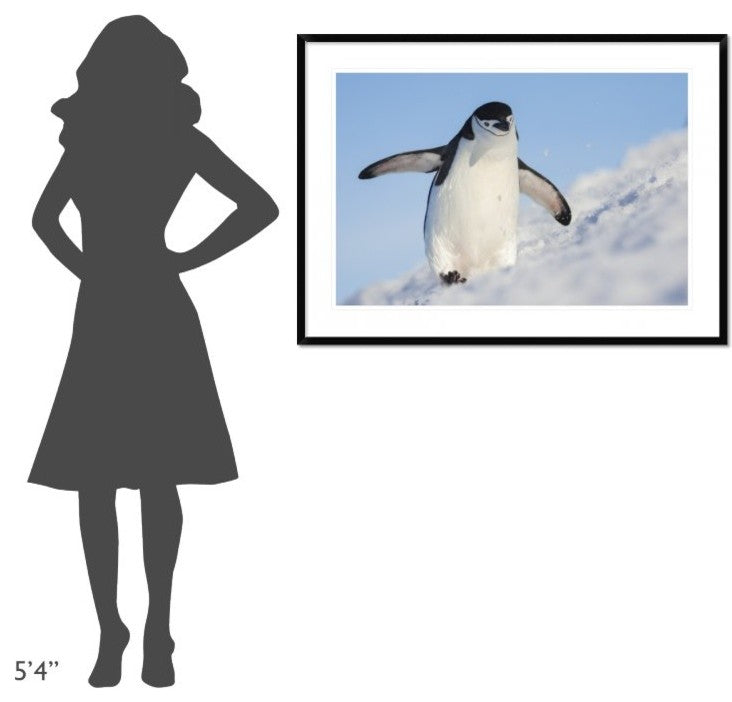 "Running Up That Hill" Framed Digital Print by Hillebrand Breuker, 44x32"