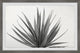 "Marginata" Framed Painting Print, 12x8
