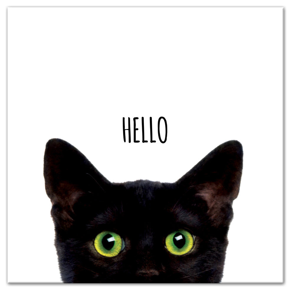 Designs Direct Curious Hello Black Cat 16x16 Canvas Wall Art
