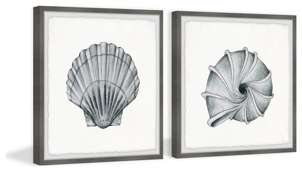 Metallic Shells Diptych, 64"x32"