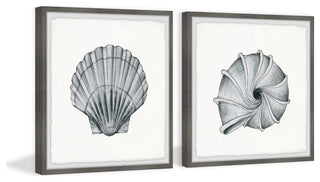 Metallic Shells Diptych, 64"x32"