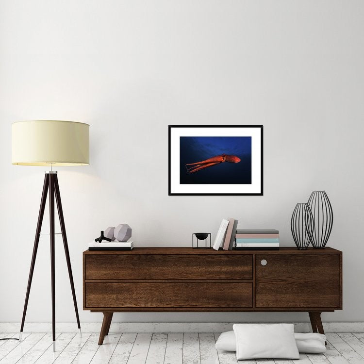"Red Octopus" Framed Digital Print by Barathieu Gabriel, 32x24"