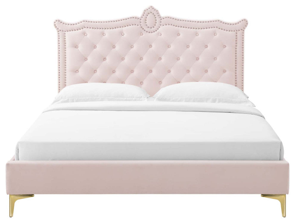 Platform Bed Frame, Nailhead, Queen Size, Pink, Velvet, Modern, Guest Suite