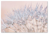 Cora Niele 'Dandelion Dew II' Canvas Art