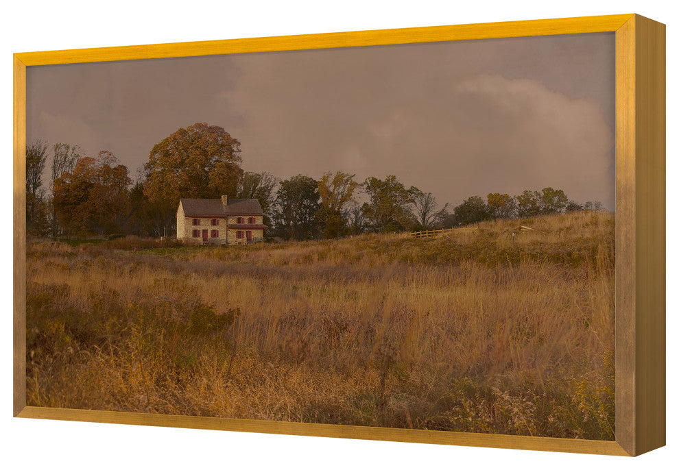 Brandywine Fine Art Print, Gold, 20"x30"