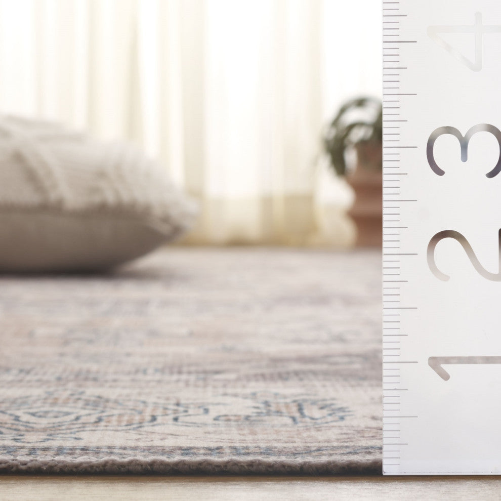 Safavieh Arizona Machine-Washable Collection ARZ249 Rug, Beige/Grey, 3'x5'