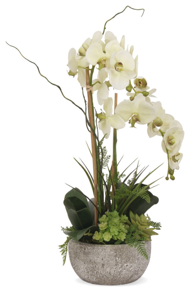 Cream/Green Orchids Flower Arrangement, Round Pot