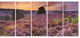 Blooming Heather at Dawn Panorama, Landscape Canvas Art Print, 60"x28", 5 Panels
