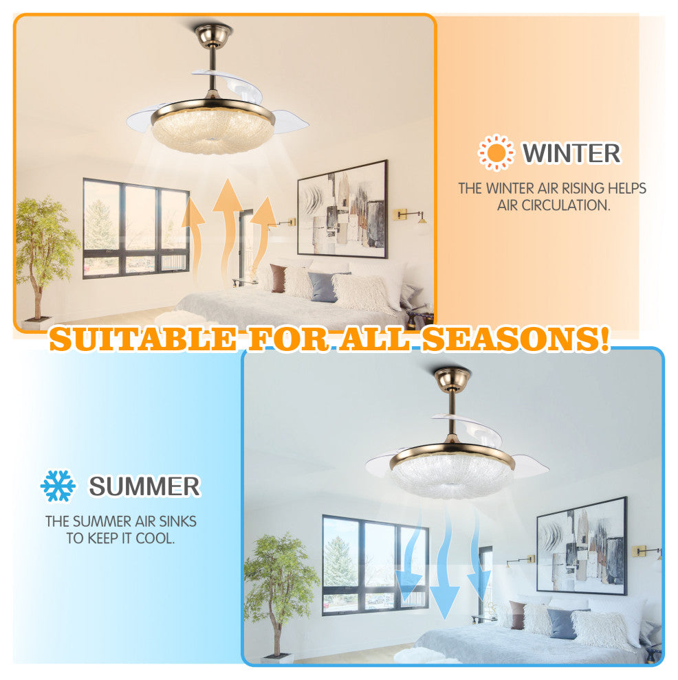 CurveCurio 42" Retractable Ceiling Fan with Matte Gold Finish & LED Lights