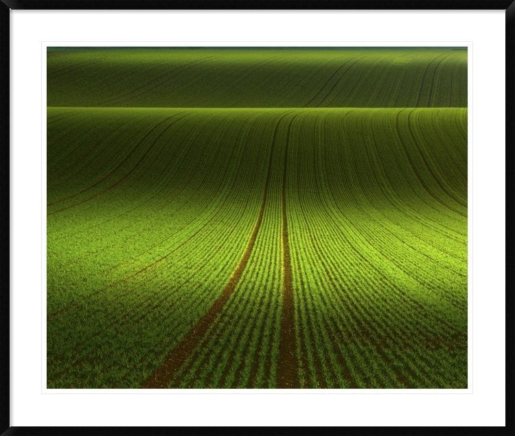 "November Green" Framed Digital Print by Franz Schumacher, 43x36"