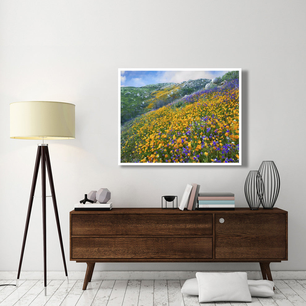 "California Poppym Desert Bluebell, Santa Ana Mountains" Paper Art, 50"x38"