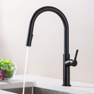 Fusion-T Single Handle Pull Down Kitchen Sink Faucet, Matte Black