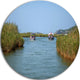 Touristic River Boats, Landscape Photography Disc Metal Wall Art, 11"