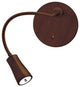 Epiphanie Gooseneck Wall Lamp, Finish: Bronze