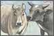 "Vache Romance" Floater Framed Painting Print on Canvas, 24"x16"