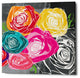 Epic Graffiti "Colorful Roses II" by Linda Woods, Giclee Canvas Art, 26"x26"