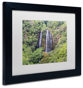 Pierre Leclerc 'Opaekaa Falls' Matted Framed Art, Black Frame, White, 14x11