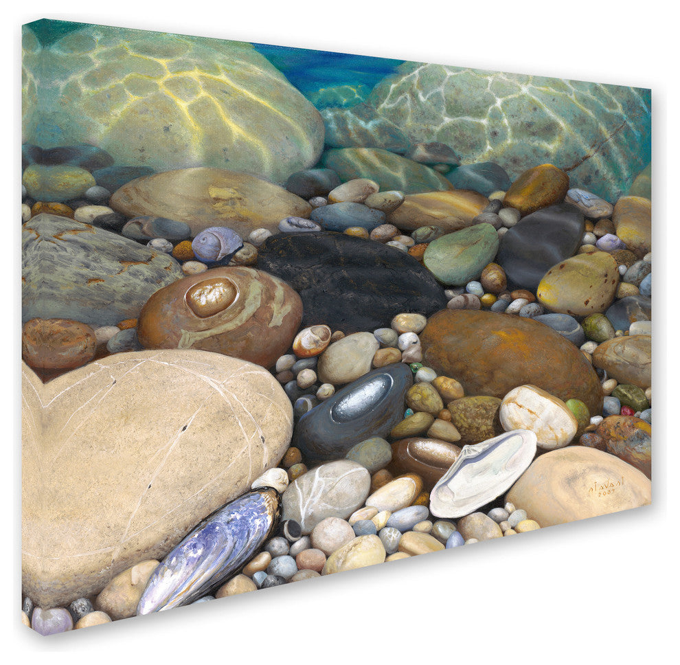 'Shoreline Treasures' Canvas Art by Stephen Stavast