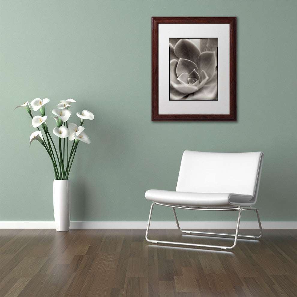 Alan Blaustein ''Florison 25'' Art, Wood Frame, White Mat, 11x14