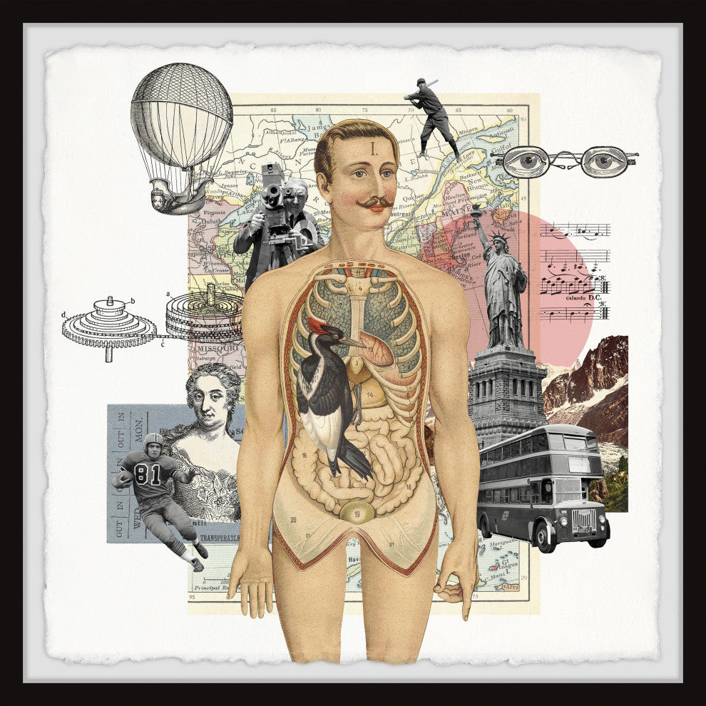 "Anatomy of the Body" Framed Painting Print, 24x24