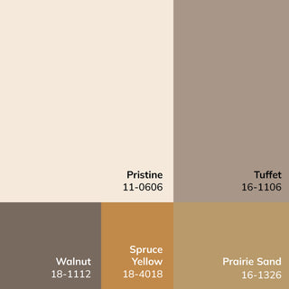 Galey Alix x Livabliss Myrtle Avenue GAMY-2304 Area Rug, Taupe, 5'3" x 7'7"