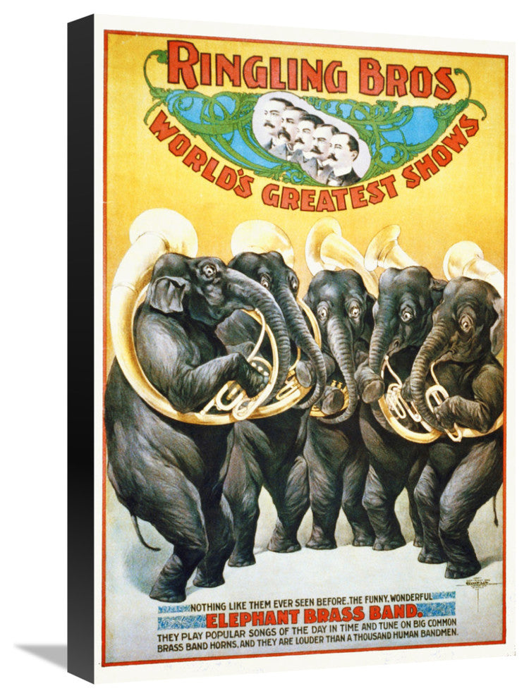 Ringling Bros,  The Funny, Wonderful Elephant Brass Band, 1899, 15x22