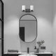2-Light Matte Black Vanity With Etched White Glass Shades