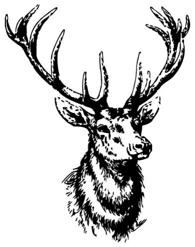Wall Vinyl Sticker Decal Animal Deer Buck Elk Cute Horns z001, Gold, 22x35"