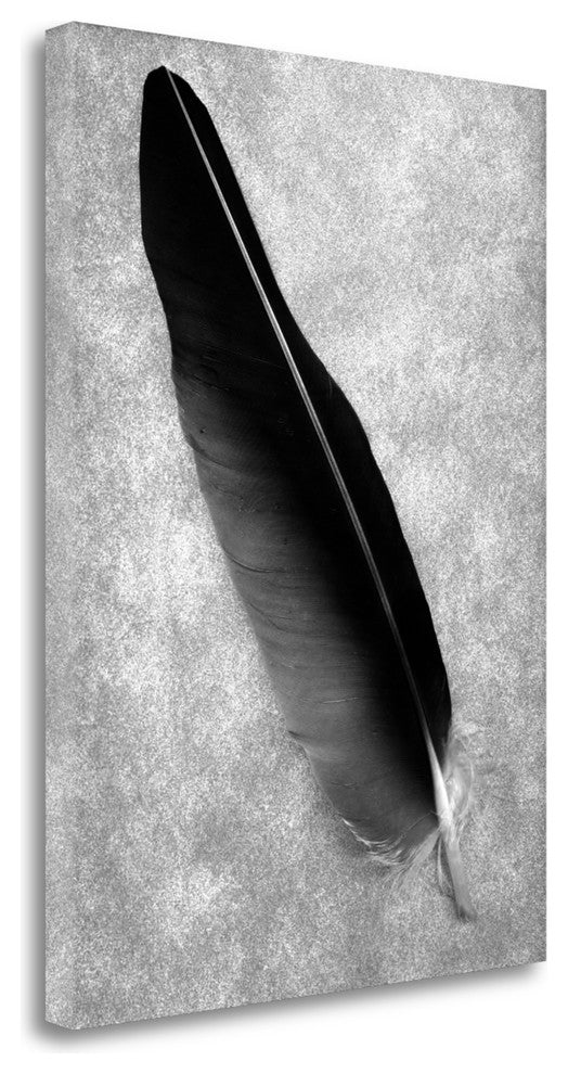 "Feathers - 7" By Alan Blaustein, Giclee Print on Gallery Wrap Canvas