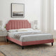 Platform Bed Frame, Twin Size, Velvet, Pink, Modern Contemporary, Bedroom Master