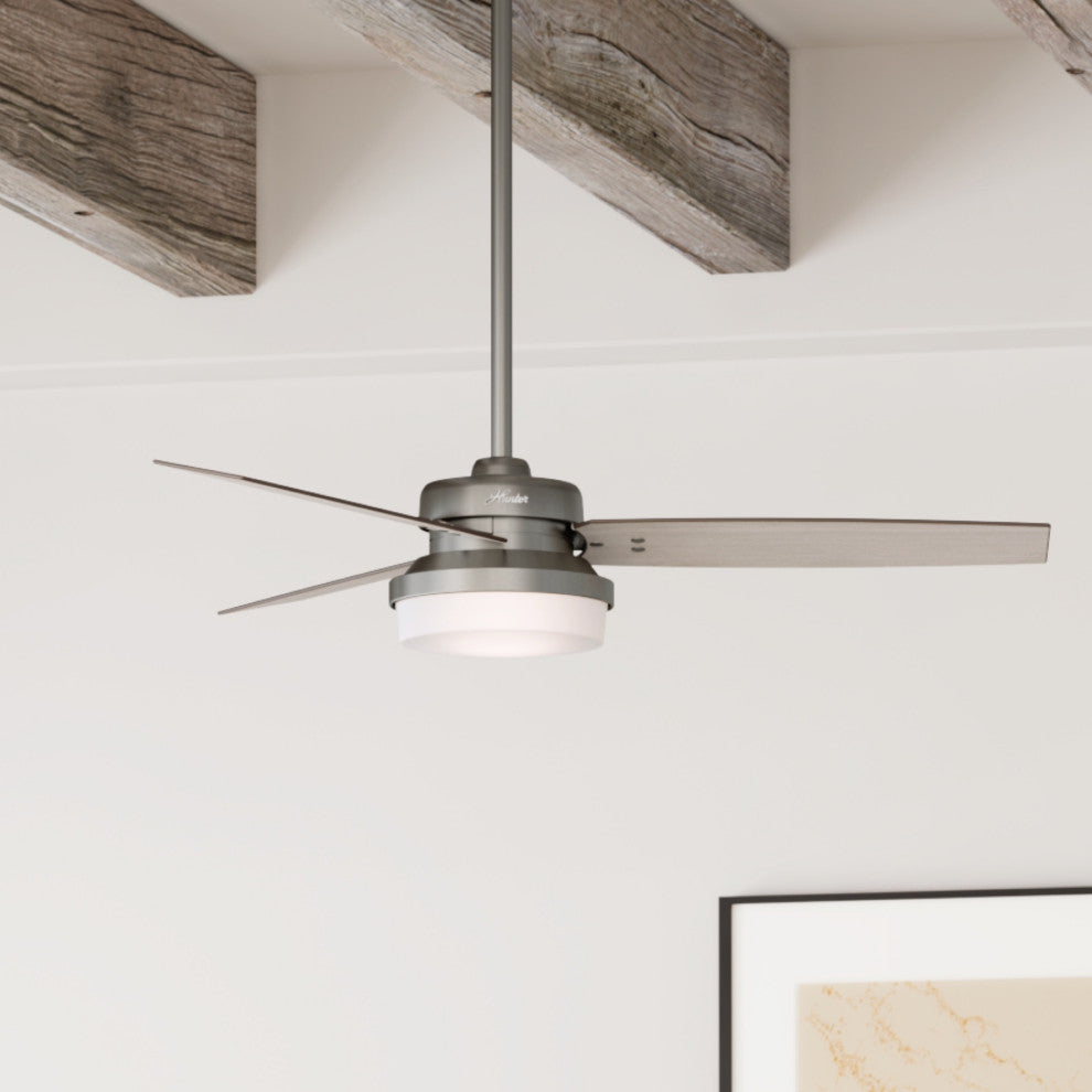 Hunter Fan Company 52" Sentinel Brushed Slate Ceiling Fan With Light and Remote